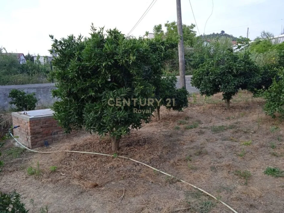 Tirane, toke , 14.000 m² 168.000 €