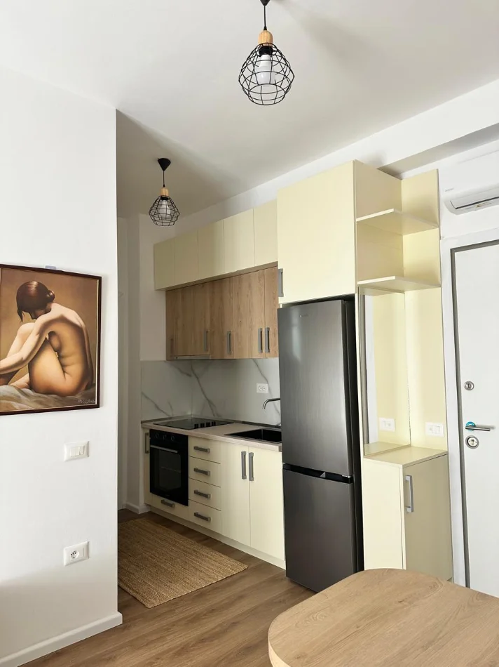 Tirane, jepet me qera apartament 1+1+Ballkon Kati 2, 49 m² 400 € (Rruga Pasho Hysa)