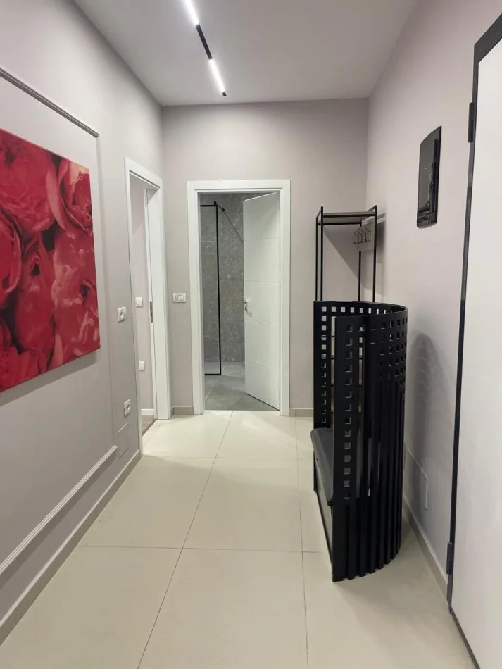 Tirane, jepet me qera 2+1+Ballkon Kati 1, 750 € 