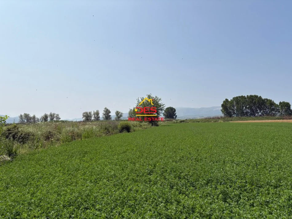 Vlore, shitet toke , 8.400 m² 120.000 € (Çeprat)