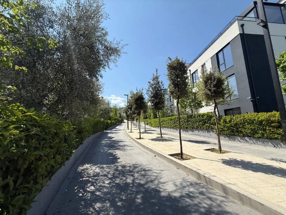 Tirane, jepet me qera apartament 2+1 Kati 1, 100 m² 1.300 € (liqeni thate)