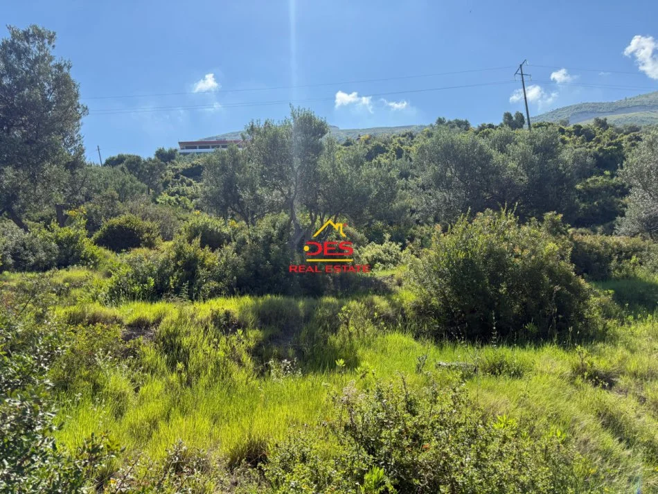 Vlore, shitet toke , 1.200 m² 270.000 € (Rruga Dhimitër Konomi)