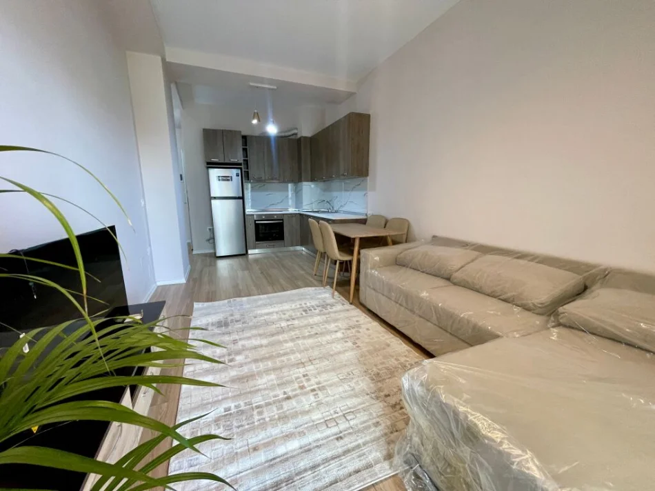 Tirane, jepet me qera apartament 1+1 , 65 m² 642 € (rruga Frosina Plaku)
