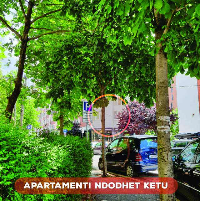 Tirane, jepet me qera apartament  / Kati 1 banim / 75 m² / 650 Euro / Bllok / Rruga Sami Frasheri