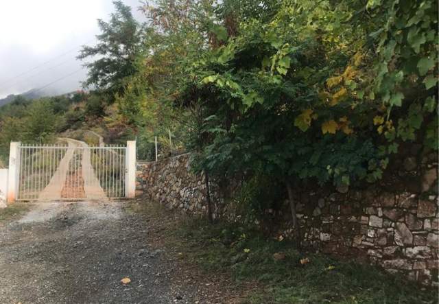 Elbasan, shitet ambjent biznesi 1.050 m² 400.000 Euro
