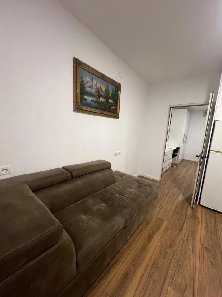 Tirane, jepet me qera apartament 1+1 Kati 1, 60 m² 400 € (Rruga Artan Lenja)