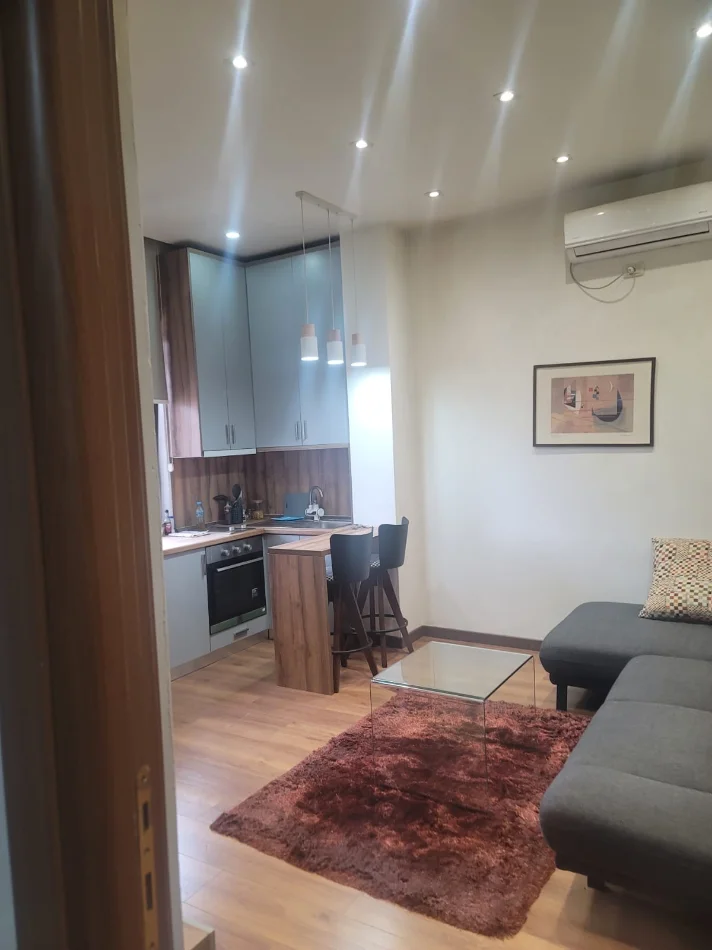 Tirane, jepet me qera apartament 1+1+Ballkon Kati 1, 60 m² 600 € (9 kateshet)