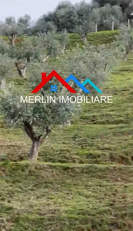 Tirane, shitet toke , 70.000 m² 1.050.000 € (VORE)