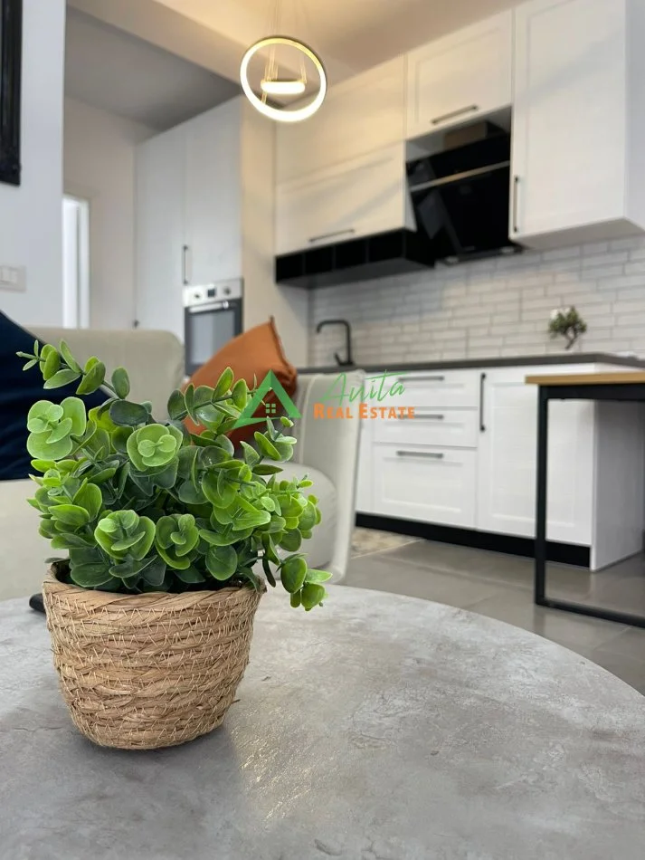 Tirane, jepet me qera apartament 1+1+Ballkon Kati 2, 60 m² 700 € (21 Dhjetori)