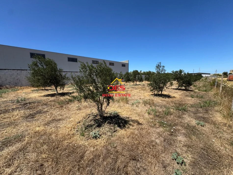 Vlore, shitet toke , 2.720 m² (Skrofotinë)