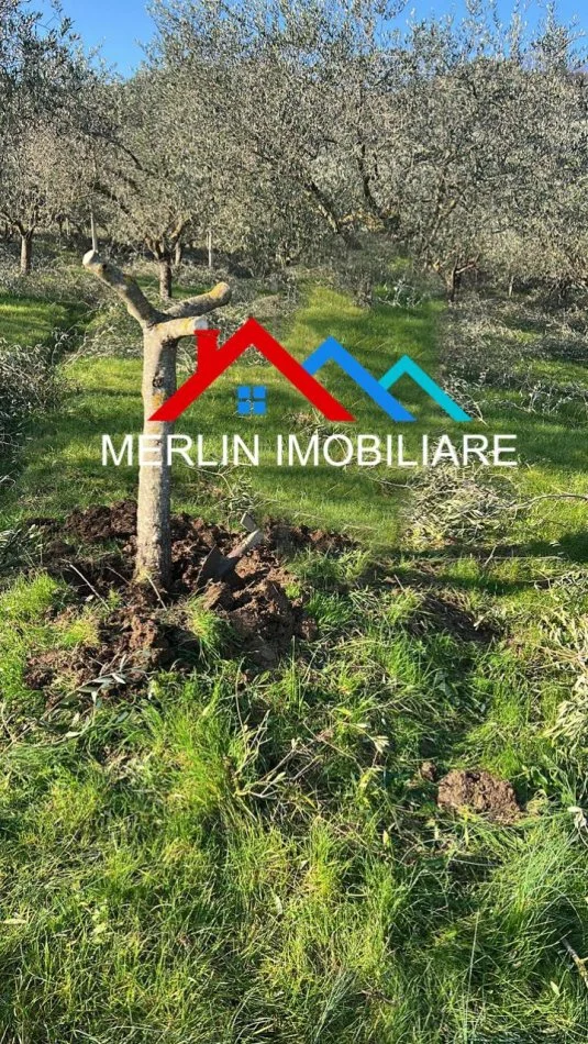 Tirane, shitet toke , 70.000 m² 1.050.000 € (VORE)