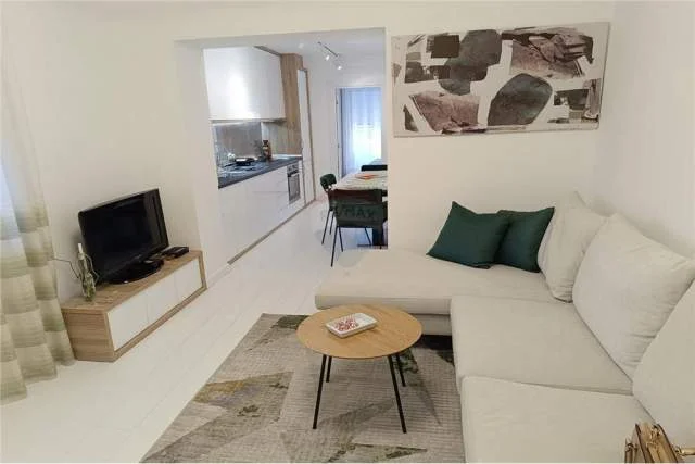 Tirane, jepet me qera apartament 1+1 Kati 1, 50 m² 470 Euro (Ali Demi)