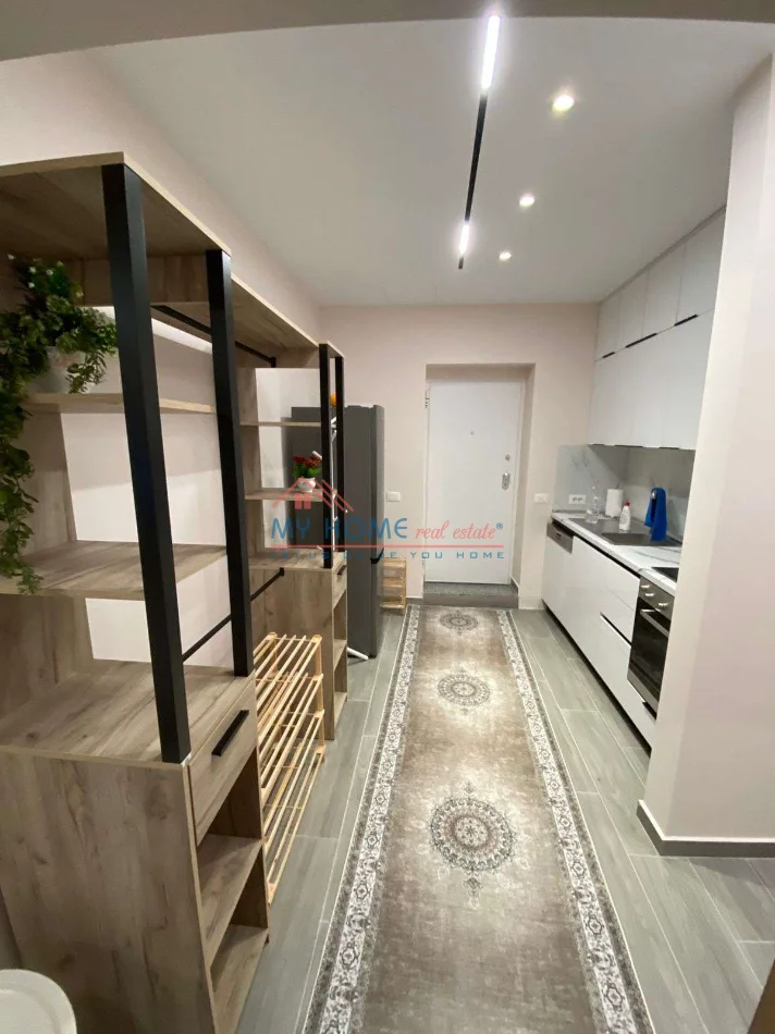 Tirane, jepet me qera apartament 1+1+Ballkon Kati 1, 60 m² 650 € (Rruga e Elbasanit)