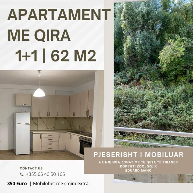 Tirane, jepet me qera apartament 1+1+BLK Kati 2, 62 m² 350 Euro