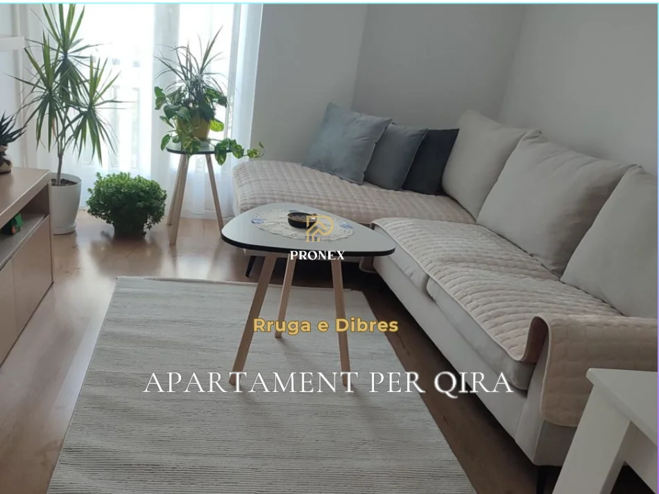 Tirane, jepet me qera apartament 2+1+Ballkon Kati 1, 106 m² 650 € (Rruga e Dibres)