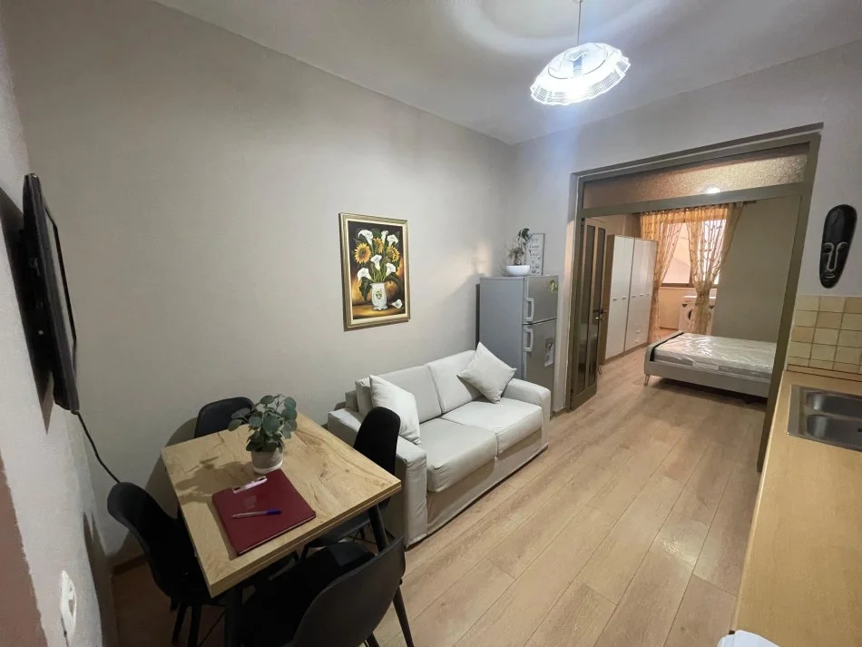 Tirane, jepet me qera garsonier 1+1 Kati 2, 48 m² 450 € (Vasil Shanto)