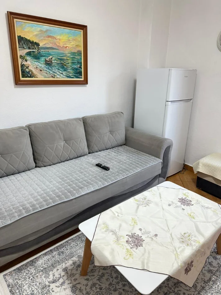 Tirane, jepet me qera apartament 1+1 Kati 1, 360 € (Loni ligori)