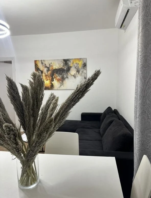 Tirane, jepet me qera apartament 1+1+Ballkon Kati 3, 65 m² 600 € (Sheshi Willson)