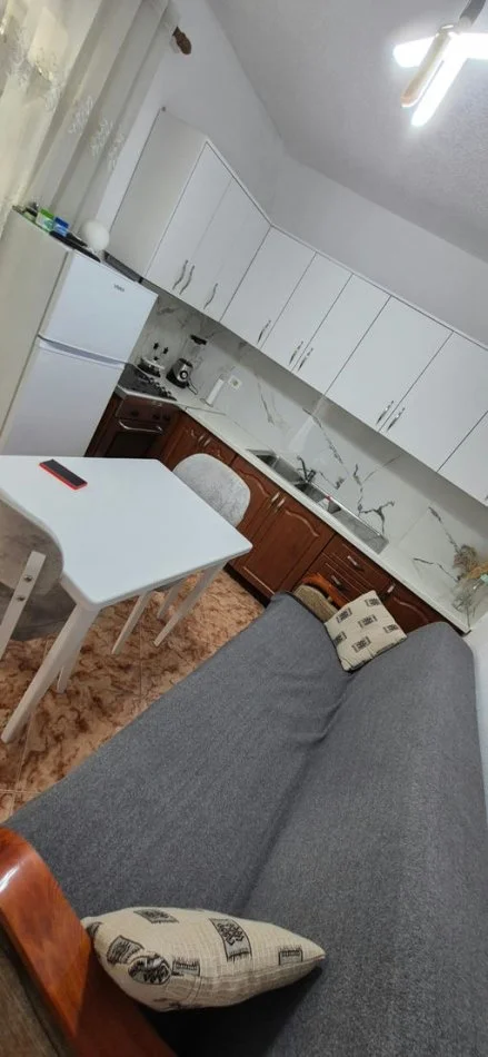 Tirane, jepet me qera Vile 1+1 , 50 m² 410 € (Rruga "Niko Avrami")