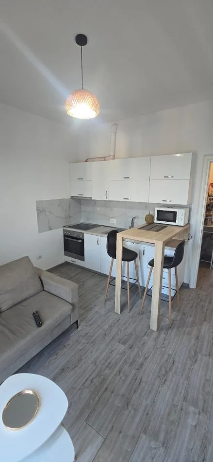 Tirane, jepet me qera apartament 1+1+Ballkon Kati 1, 50 m² 300 € (Nikolle Mekjashi)