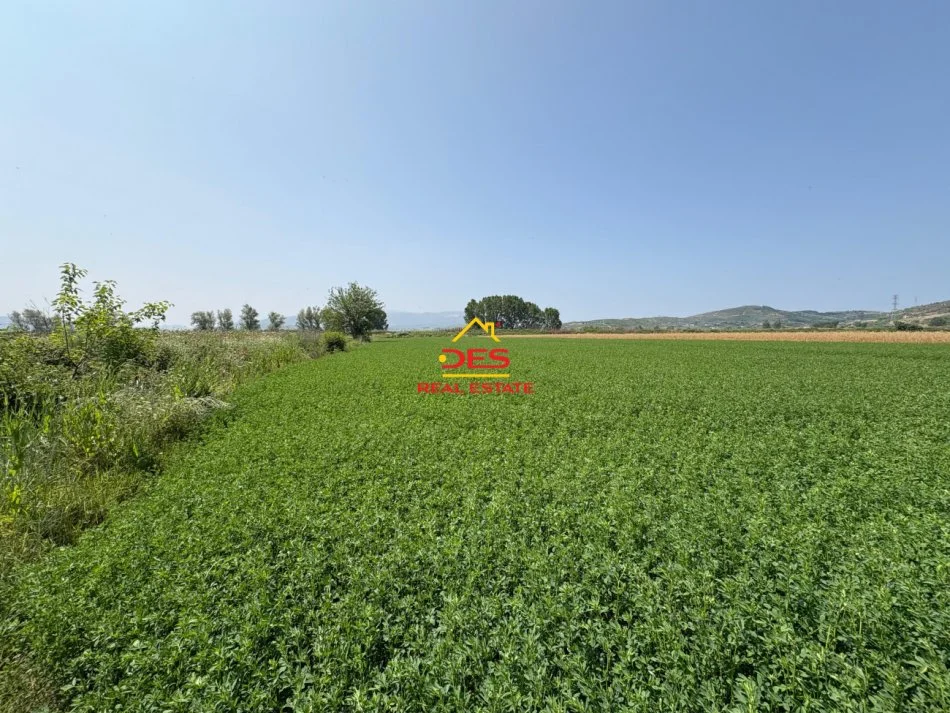 Vlore, shitet toke , 8.400 m² 120.000 € (Çeprat)