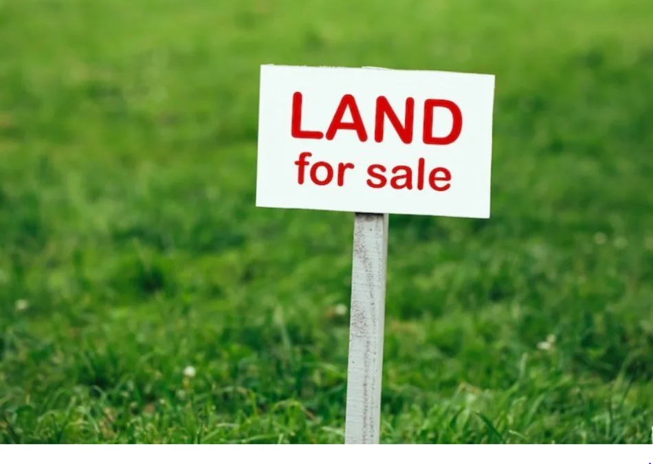 Dhermi - Palase, shes toke ne bregdet , 6.000 m² 900.000 € (Dhermi)