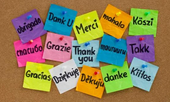 Tirane, ofrojme kurse gjuhe