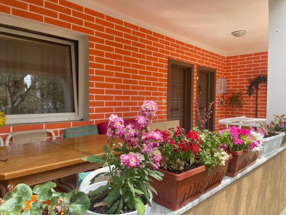 Jepen me qera javore, mujore apartamente pjese te viles!