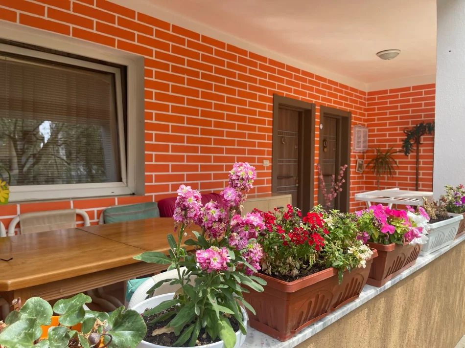 Tirane, jepen me qera 2 apartamente 1+1+Aneks+Ballkon Kati 0, 70 m² 700 € (Prane Spitalit Amerikan 2)
