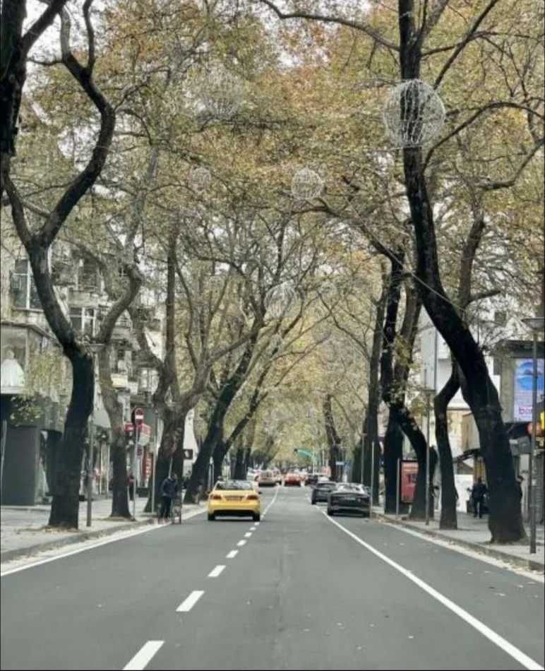 jepet me qera apartament 2+1 Myslym Shyr , 700 € (astir)