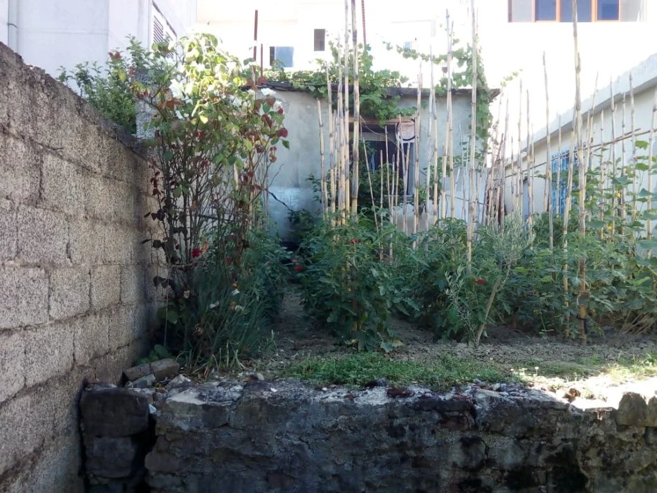 Tirane, shitet shtepi 3+1+Aneks+Ballkon Kati 0, 150.000 € (Zyber Zeneli)