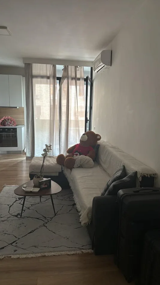Tirane, jepet me qera apartament 1+1 Kati 2, 70 m² 600 € (Rruga Panorama)