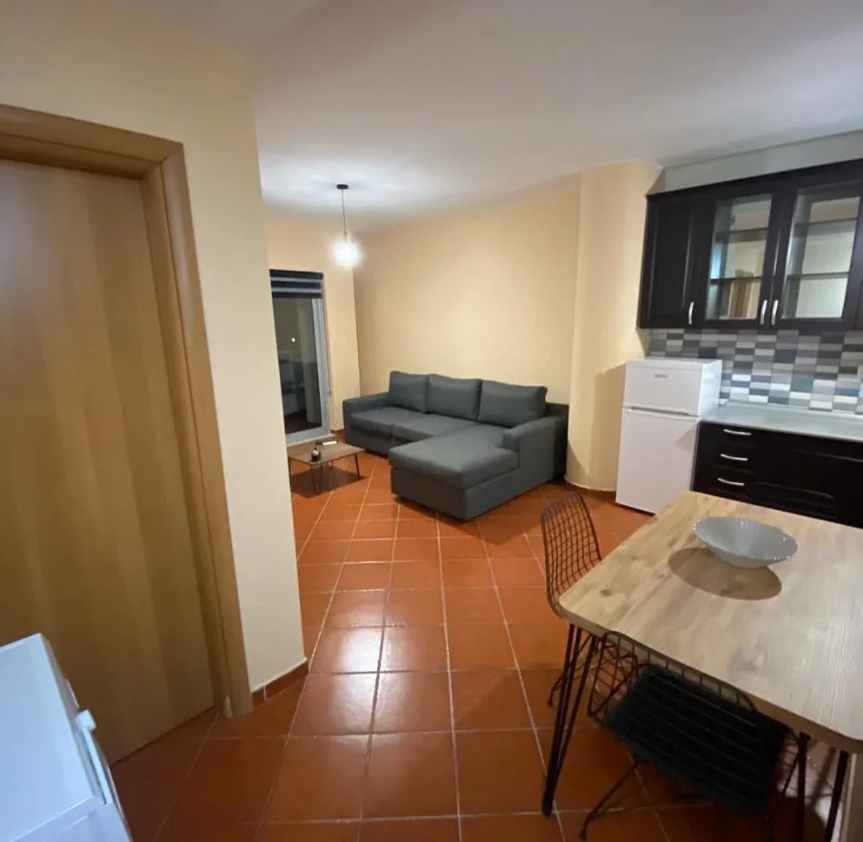 Tirane, jepet me qera apartament 1+1+Ballkon Kati 9, 500 € (Pallati me Shigjeta, Perball Delijorgjit)
