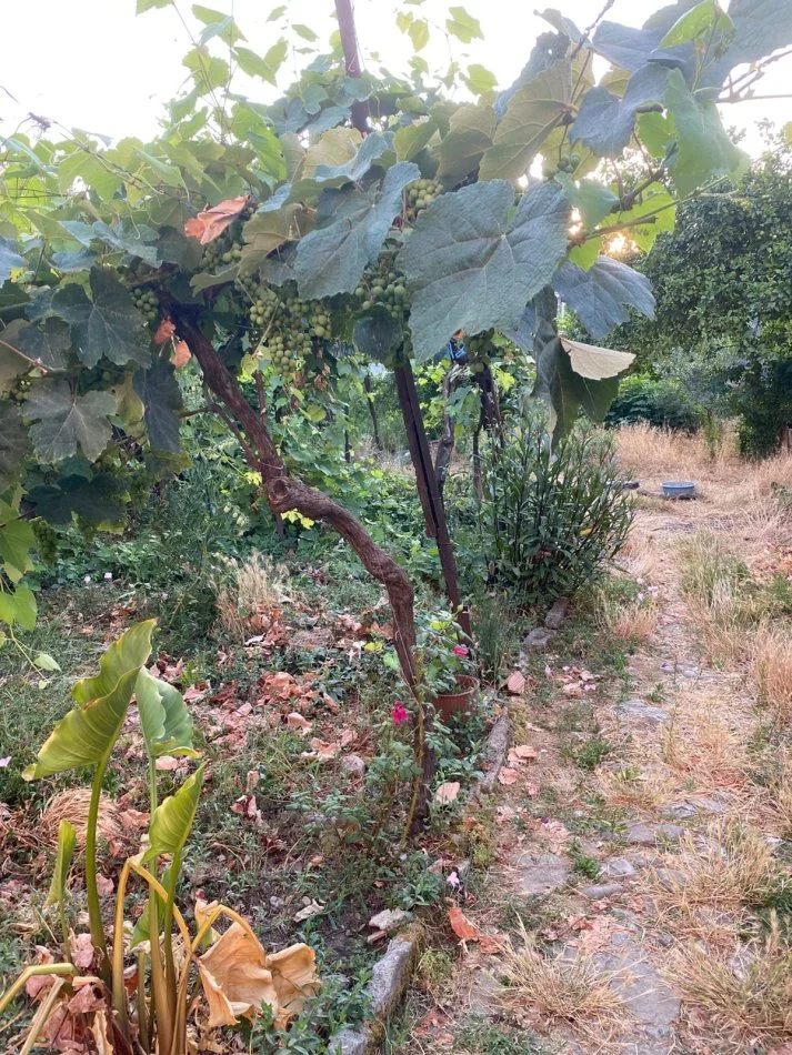 Tirane, shitet shtepi 2 Katshe , 190 m² 118.000 € (ne zonen e Treshit afer shkolles Kol Jakova Tirane)