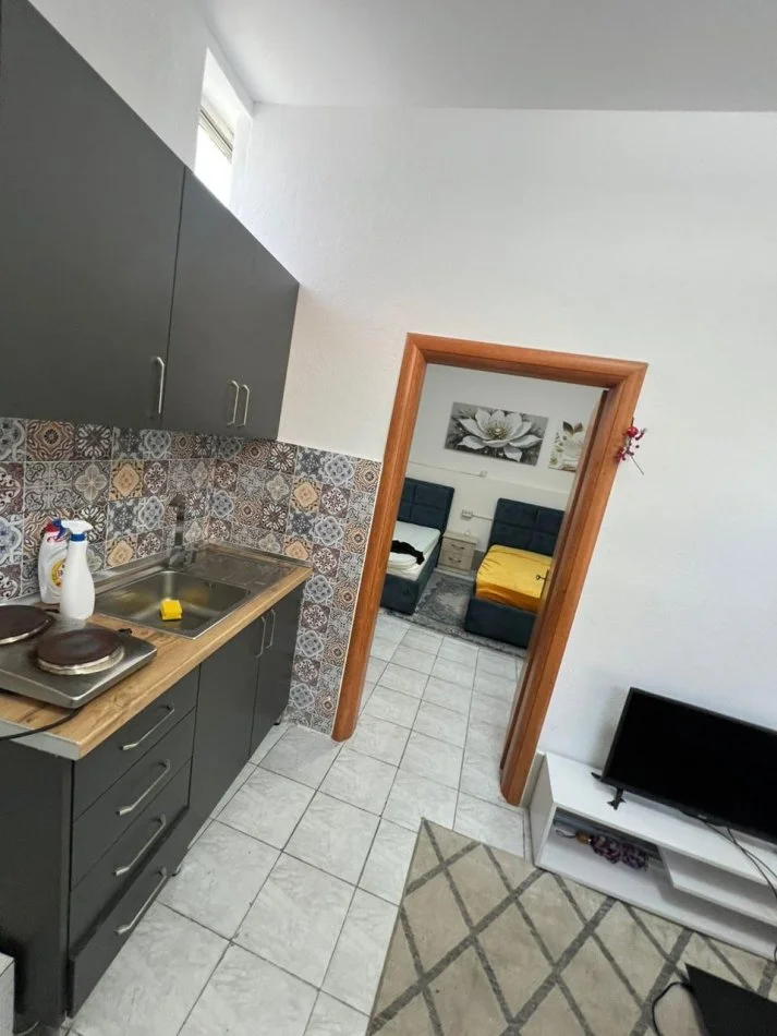 Tirane, jepet me qera Vile 1+1 Kati 0, 40 m² 300 € (Rruga Nasi Pavllo, nr.2)