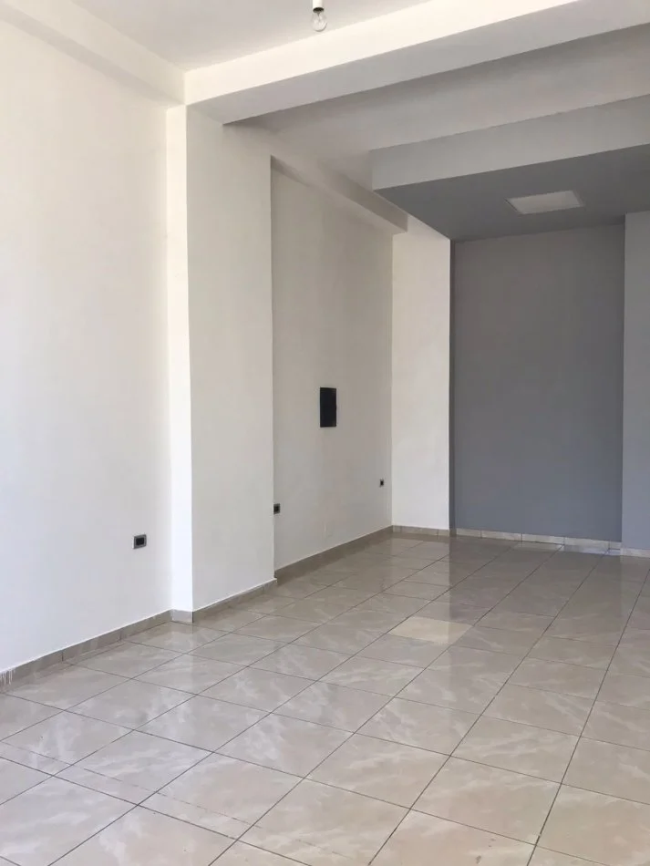 Ambient komercial me qira prane Selvise