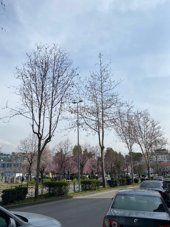 Tirane, shes apartament 2+1+Ballkon Kati 8, 120 m² 365.000 € (Stadiumi Dinamo)