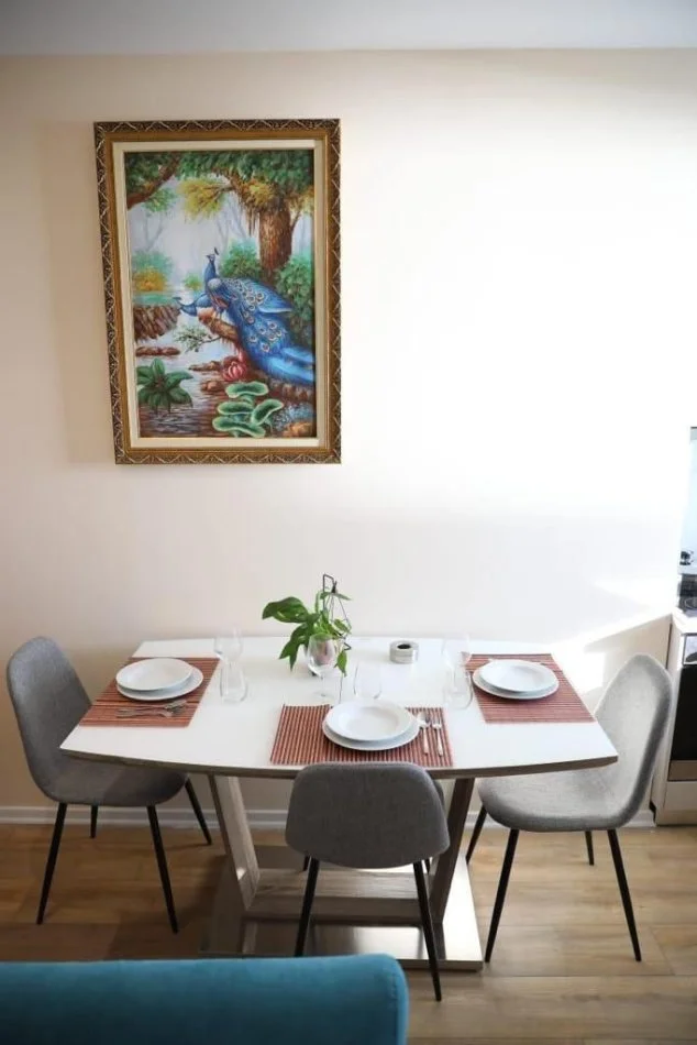 Apartment me qera 1+1