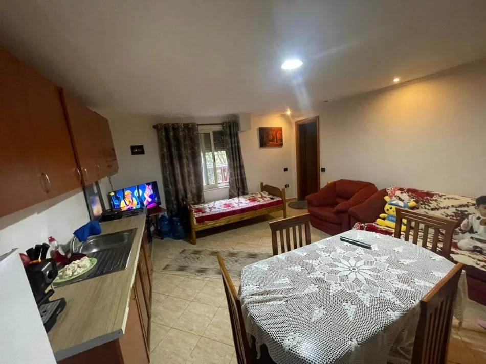 Tirane, jepet me qera Vile 1+1 Kati 0, 55 m² 300 € 