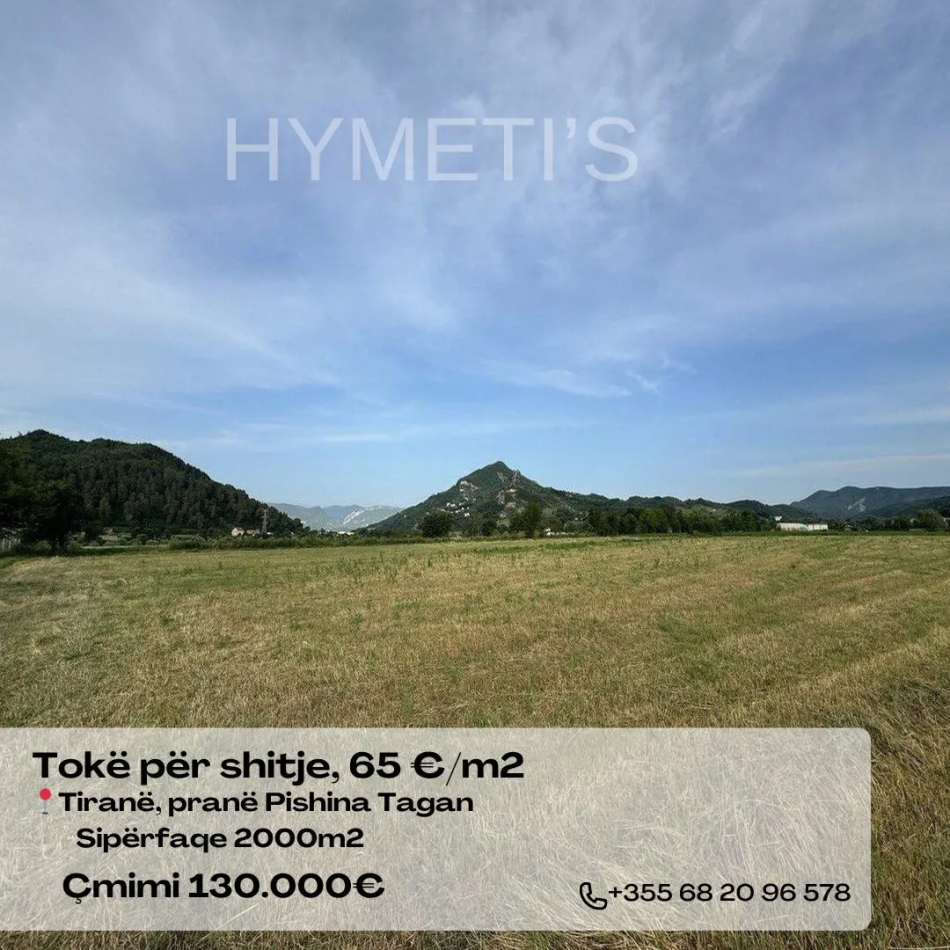 Tirane, shitet toke , 2.000 m² 130.000 € (Tiranë, Vishaj, Pishina Tagan)