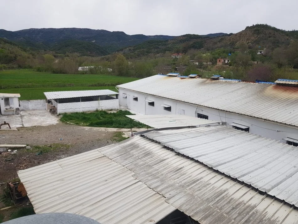 Tirane, jepet me qera toke , 2.000 m², 1500 euro (Baldushk)
