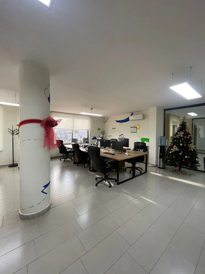 Institutional Office / Headquarter Space - Shkodra Business Center