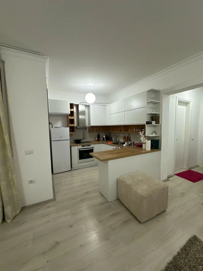 Tirane, jepet me qera apartament 1+1+Ballkon Kati 1, 61 m² 450 € (Kopshti Botanik, pranë xhamisë së Selitës)