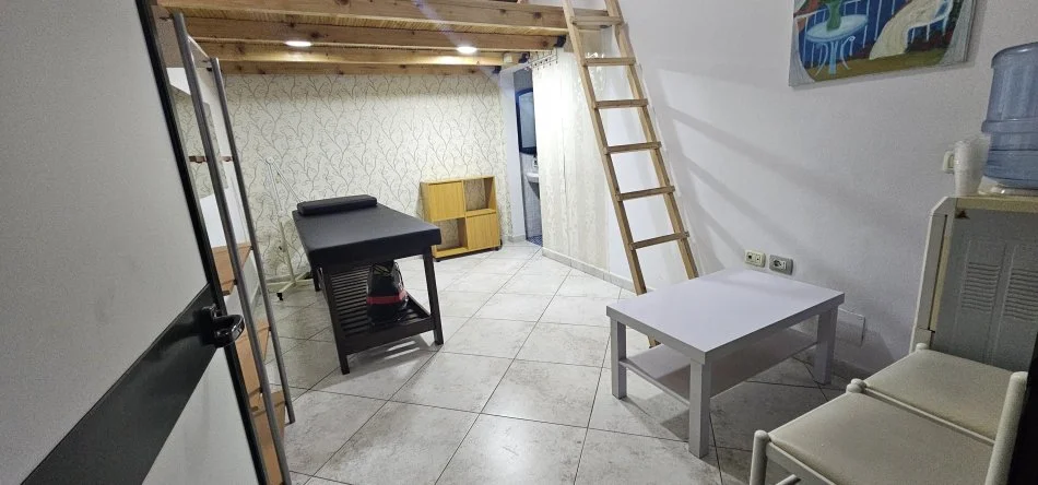 Tirane, jepet me qera apartament duplex 1+1 , 25 m² 220 € (Rruga Frederik Shiroka)