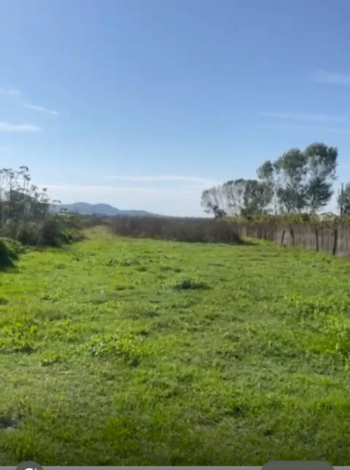 Qerret, shitet toke , 1.050 m² 