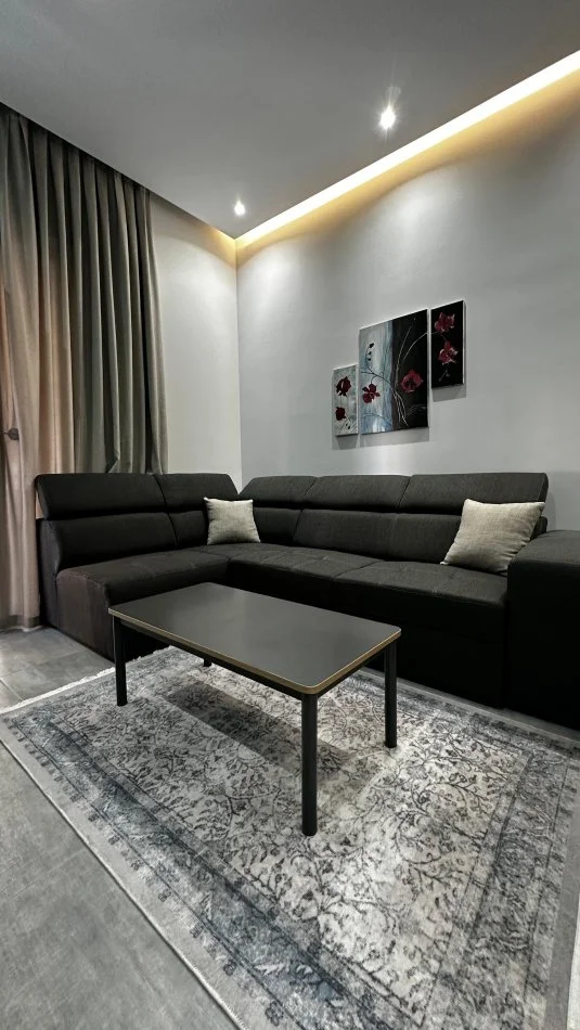 Tirane, jepet me qera apartament 1+1+Ballkon Kati 6, 850 € (Kompleksi Delijorgji)