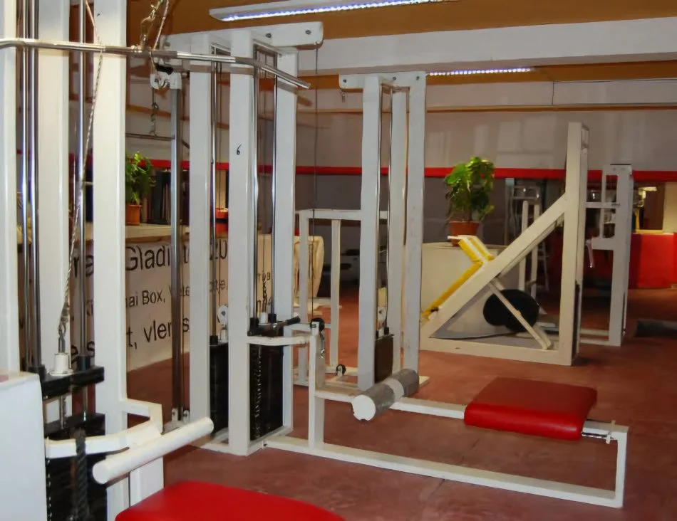 Tirane, okazion Shiten pajisje professionale sportive per palester fitness dhe arte marciale