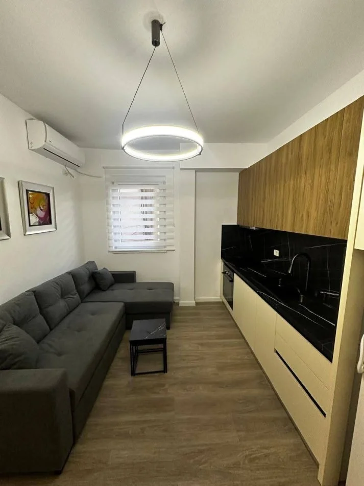 Tirane, jepet me qera apartament 1+1 Kati 1, 450 € 