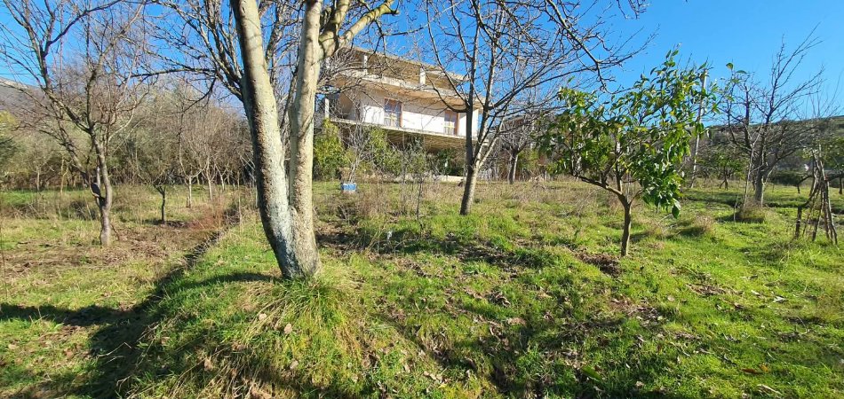 Tirane, shitet nga Pronari, pa-komision shtepi 3 Katshe Kati 3, 394 m² 400.000 € (ibe e poshtme)