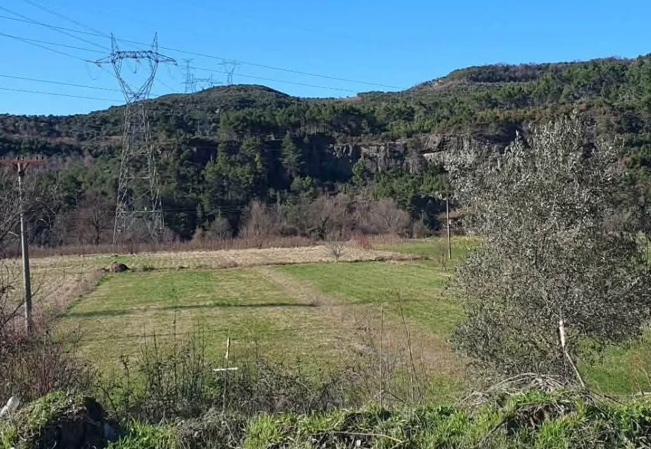 Tirane, shitet truall , 1.400 m² (Ibe e poshtme)